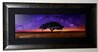 Celestial Dreams 1.5M - Huge - Ash Wood Frame - Oregon Panorama by Peter Lik - 2