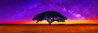 Celestial Dreams 1.5M - Huge - Ash Wood Frame - Oregon Panorama by Peter Lik - 0