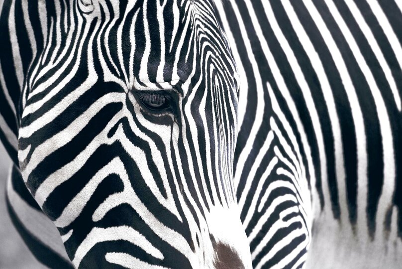Peter Lik Art For Sale, Wanted