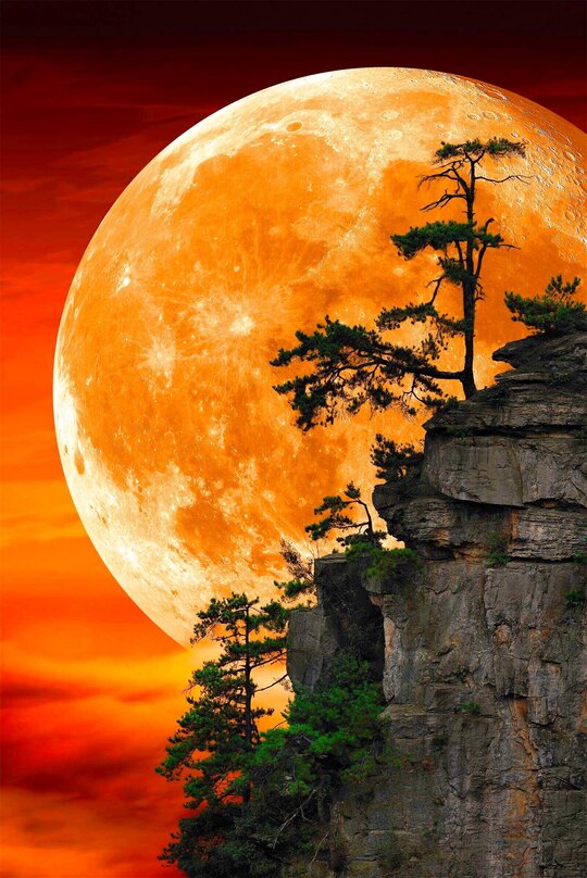 Peter Lik Art For Sale, Wanted
