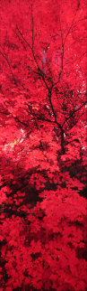 Zen AP (Ogden Valley, Utah) 2.M Super Huge Panorama - Peter Lik Zen AP (Ogden Valley, Utah) 2.M Super Huge Panorama - Peter Lik