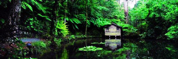 Romantic Hut (small edition) Panorama - Peter Lik Romantic Hut (small edition) Panorama - Peter Lik