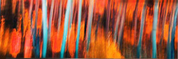 Forever Panorama - Peter Lik Forever Panorama - Peter Lik