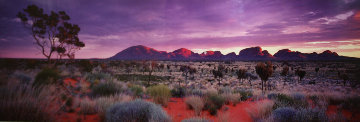 Painted Skies (Kata Tjuta NP, Northern Territory) Panorama - Peter Lik