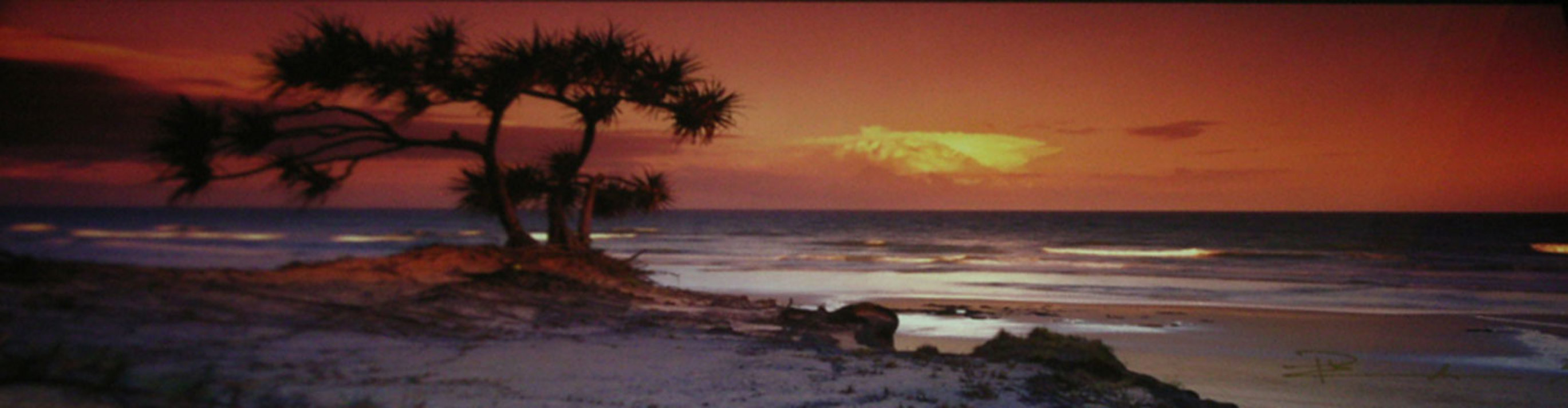 Pandanus Twilight (Frazier Island) (small edition) Panorama by Peter Lik Pandanus Twilight (Frazier Island) (small edition) Panorama by Peter Lik