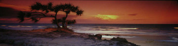 Pandanus Twilight (Frazier Island) (small edition) Panorama - Peter Lik Pandanus Twilight (Frazier Island) (small edition) Panorama - Peter Lik