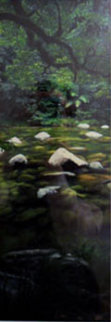 Pristine Waters (Mossman Gorge, Queensland) Panorama - Peter Lik Pristine Waters (Mossman Gorge, Queensland) Panorama - Peter Lik