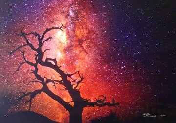 Tree of the Universe (Mauna Kea, The Big Island, Hawaii) Panorama - Peter Lik Tree of the Universe (Mauna Kea, The Big Island, Hawaii) Panorama - Peter Lik