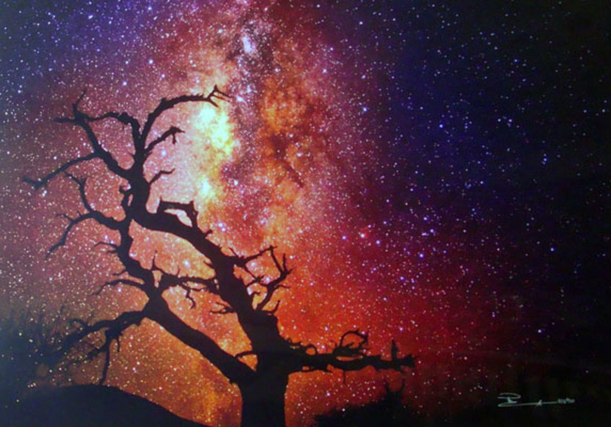 Tree of the Universe (Mauna Kea, The Big Island, Hawaii) Panorama by Peter Lik Tree of the Universe (Mauna Kea, The Big Island, Hawaii) Panorama by Peter Lik