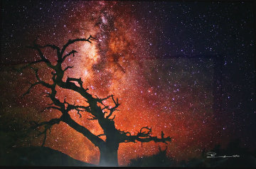 Tree of the Universe (Mauna Kea, The Big Island, Hawaii) Panorama - Peter Lik Tree of the Universe (Mauna Kea, The Big Island, Hawaii) Panorama - Peter Lik
