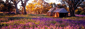 Settlers Meadow (Wilpena Pond, South Australia) AP 1.5M Huge Panorama - Peter Lik Settlers Meadow (Wilpena Pond, South Australia) AP 1.5M Huge Panorama - Peter Lik