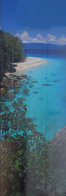 Pure (Fitzroy Island, Queensland) 1.5M Huge Panorama by Peter Lik - 0 Pure (Fitzroy Island, Queensland) 1.5M Huge Panorama by Peter Lik - 0