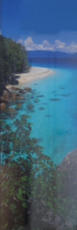 Pure (Fitzroy Island, Queensland) 1.5M Huge Panorama - Peter Lik Pure (Fitzroy Island, Queensland) 1.5M Huge Panorama - Peter Lik