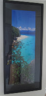 Pure (Fitzroy Island, Queensland) 1.5M Huge Panorama by Peter Lik - 1 Pure (Fitzroy Island, Queensland) 1.5M Huge Panorama by Peter Lik - 1