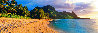 Seventh Heaven 1.4M - Huge - Kauai, Hawaii - Cigar Leaf Frame Panorama by Peter Lik - 0