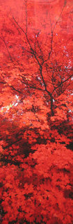 Zen (Ogden Valley, Utah) Panorama - Peter Lik Zen (Ogden Valley, Utah) Panorama - Peter Lik