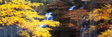 Autumn Terrace 1.5M Huge Panorama - Peter Lik Autumn Terrace 1.5M Huge Panorama - Peter Lik