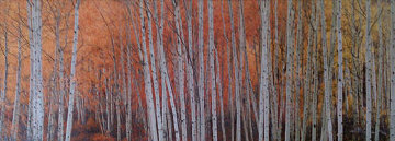 Harmony AP (Aspen, Colorado) Panorama - Peter Lik Harmony AP (Aspen, Colorado) Panorama - Peter Lik