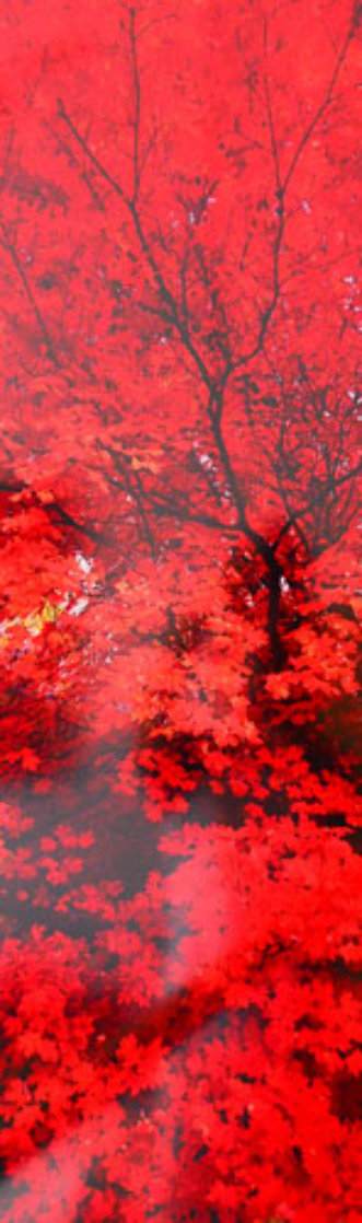 Zen (Ogden Valley, Utah) Panorama by Peter Lik Zen (Ogden Valley, Utah) Panorama by Peter Lik