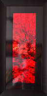 Zen (Ogden Valley, Utah) Panorama by Peter Lik - 1 Zen (Ogden Valley, Utah) Panorama by Peter Lik - 1
