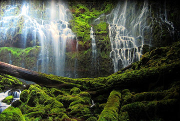 Pristine Waters (Mossman Gorge, Queensland) Panorama - Peter Lik Pristine Waters (Mossman Gorge, Queensland) Panorama - Peter Lik