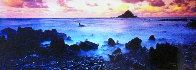 Koki Beach (Hawaii) Panorama by Peter Lik - 0