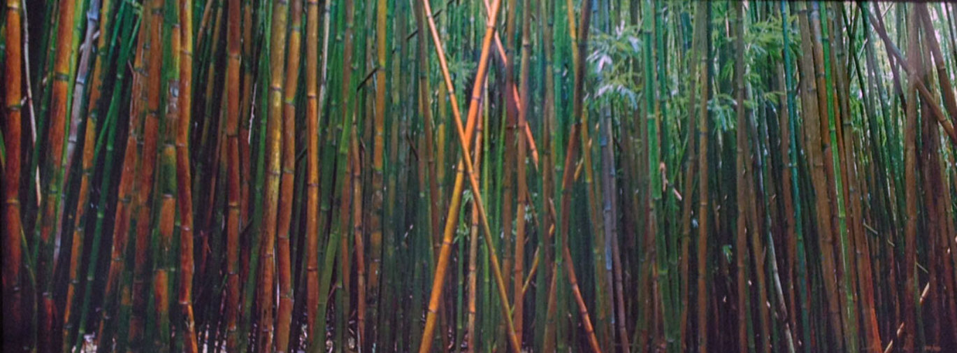 Bamboo (Pipiwai Trail, Hana, Hawaii) Panorama by Peter Lik Bamboo (Pipiwai Trail, Hana, Hawaii) Panorama by Peter Lik
