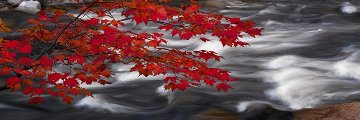 River of Zen (Telluride, Colorado) Panorama - Peter Lik River of Zen (Telluride, Colorado) Panorama - Peter Lik