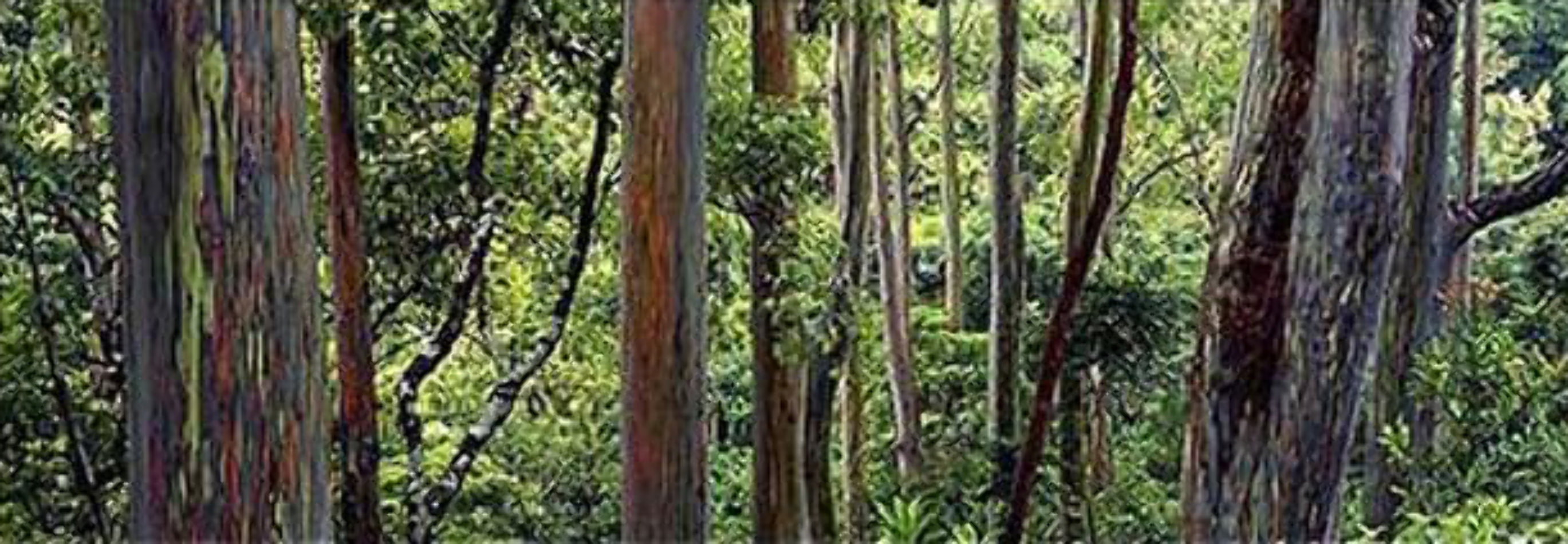 Painted Forest Panorama by Peter Lik