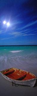 Shipwrecked (Wineglass Bay, Tasmania) 1.5M Huge Panorama - Peter Lik Shipwrecked (Wineglass Bay, Tasmania) 1.5M Huge Panorama - Peter Lik