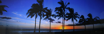 Waikiki Palms, Hawaii 1.5M Huge Panorama - Peter Lik Waikiki Palms, Hawaii 1.5M Huge Panorama - Peter Lik