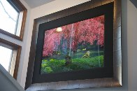 Tree of Dreams (Washington State) 1.5M Huge Panorama by Peter Lik - 1 Tree of Dreams (Washington State) 1.5M Huge Panorama by Peter Lik - 1