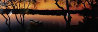 Noosa River, Queensland Australia 1.5M Panorama by Peter Lik - 0