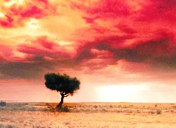 Dreamland (InnamIncka, South Australia) Panorama - Peter Lik Dreamland (InnamIncka, South Australia) Panorama - Peter Lik