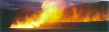 Cane Fire (very small edition) (Redlynch, Cairns) Panorama - Peter Lik Cane Fire (very small edition) (Redlynch, Cairns) Panorama - Peter Lik