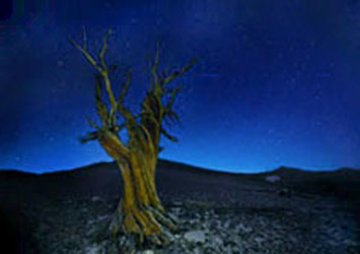 Starry Night  Panorama - Peter Lik