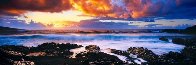 Genesis (Hana, Hawaii)  Huge Epic 116 in Panorama by Peter Lik - 0