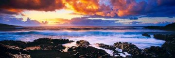 Genesis (Hana, Hawaii)  Huge Epic 116 in Panorama - Peter Lik