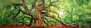 Tree of Hope Panorama - Peter Lik Tree of Hope Panorama - Peter Lik