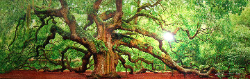 Tree of Hope 1.5M Huge Panorama - Peter Lik