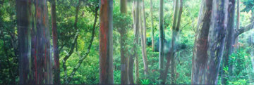 Painted Forest Panorama - Peter Lik Painted Forest Panorama - Peter Lik