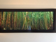 Bamboo (Pipiwai Trail, Hana, Hawaii) 1.5M Huge Panorama by Peter Lik - 2