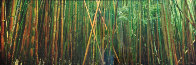 Bamboo (Pipiwai Trail, Hana, Hawaii) 1.5M Huge Panorama by Peter Lik - 0