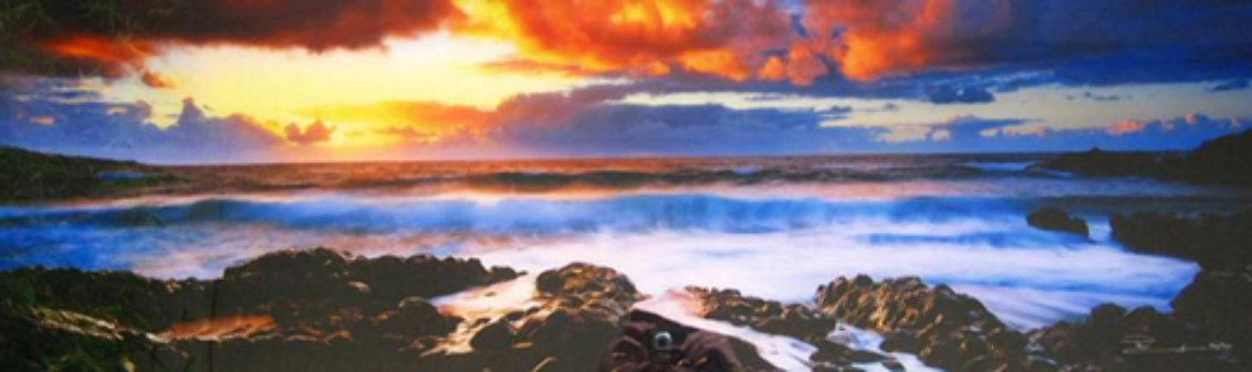 Genesis (Hana, Hawaii) 1.5M Huge Panorama by Peter Lik Genesis (Hana, Hawaii) 1.5M Huge Panorama by Peter Lik