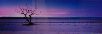 Solitude (Cape York, Queensland) 1.5M Huge Panorama - Peter Lik Solitude (Cape York, Queensland) 1.5M Huge Panorama - Peter Lik