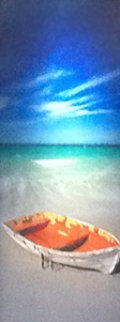 Shipwrecked (Wineglass Bay, Tasmania) Panorama - Peter Lik Shipwrecked (Wineglass Bay, Tasmania) Panorama - Peter Lik