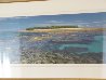 Coral Island Lady Musgrave 1.5M - Huge - Queensland, Australia Panorama by Peter Lik - 2