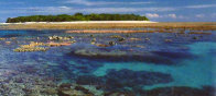 Coral Island   Lady Muskgrave Island  1.5M Huge Panorama by Peter Lik - 6