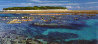 Coral Island Lady Musgrave 1.5M - Huge - Queensland, Australia Panorama by Peter Lik - 6