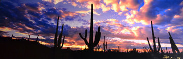 Night Moods AP 2M Huge Panorama - Peter Lik Night Moods AP 2M Huge Panorama - Peter Lik